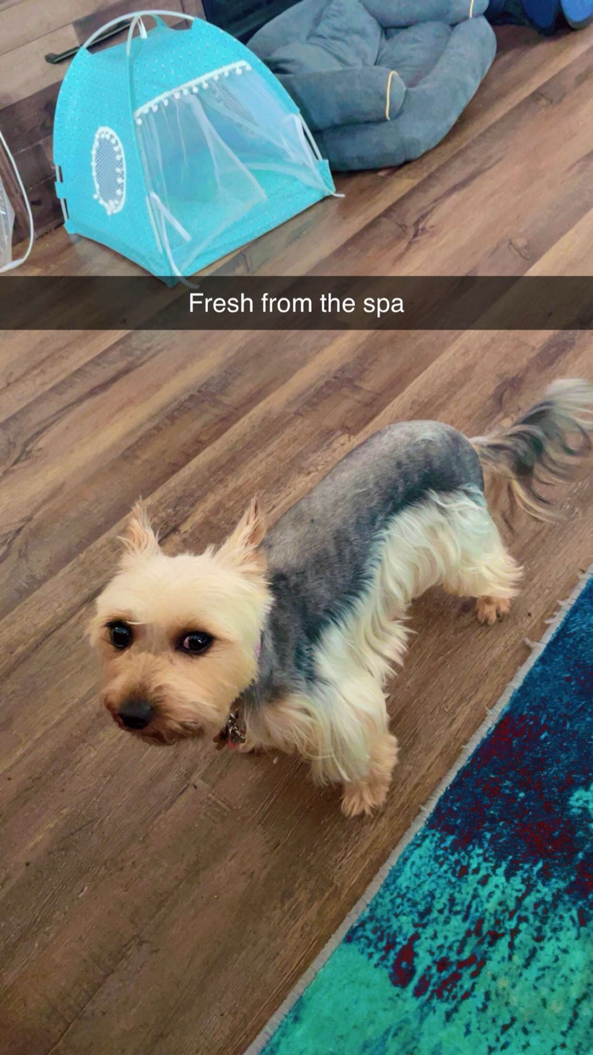 Captured By Kelly — Event Photo 7